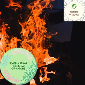 Ultra Addition Summer Vibes