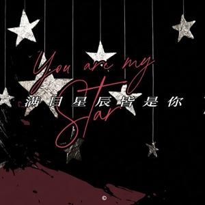 满目星辰皆是你