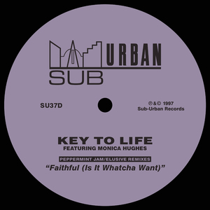 Faithful (Is It Watcha Want) (Michi's Fetter Filter Dub)