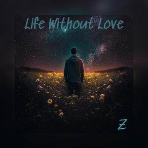 Life Without Love