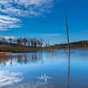 与你在星夜 (吉他曲)
