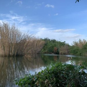 勾栏美人愁烟空