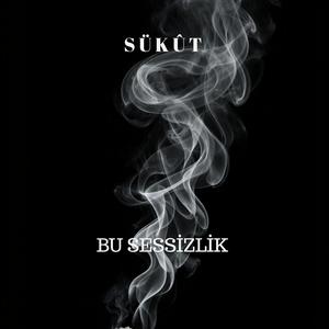 BU SESSİZLİK