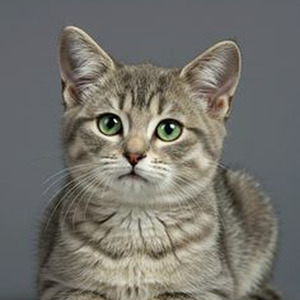 Encouragement (slowed)