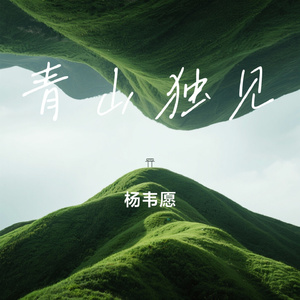 青山独见