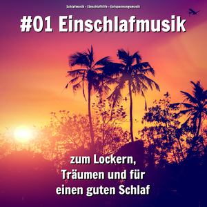 Klangvolle Musik für Hunde