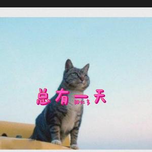 总有一天