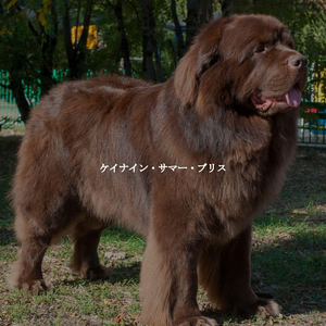 Mind-blowing Music for Latte Dreams