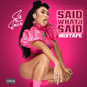 Said What I Said (Mixtape)
