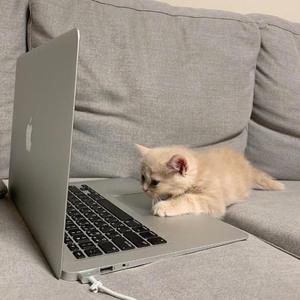 看透以后（翻自 王梓钰）