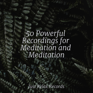 Sparkling Night Symphony