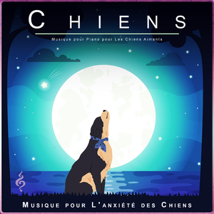 Musique Instrumentale pour Chiens