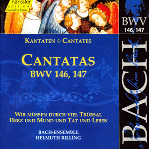 Herz und Mund und Tat und Leben, BWV 147:Chorale: Wohl mir, dass ich Jesum habe (Chorus)