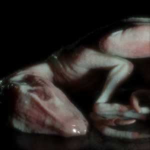 Trust Goes Both Ways