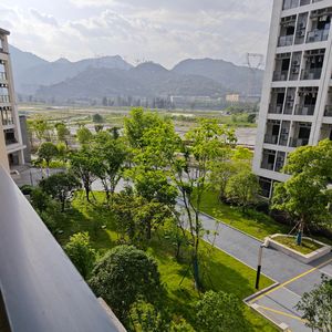 早晨的活力校园