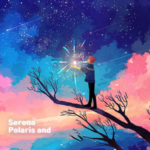 Polaris,Memories(Memory of the North Star)