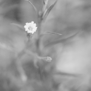 Sunken/Memory of April 2022.wav