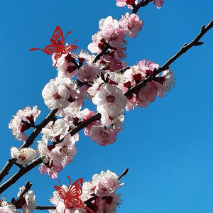 是谁