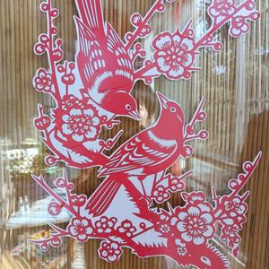 春风有信，花开有期