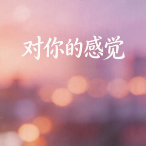 对你的感觉