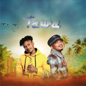 Tawa