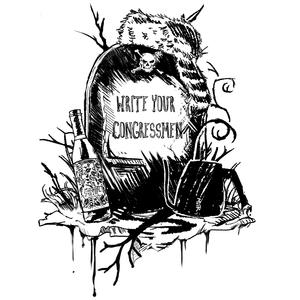 Write Your Congressman (feat. Hans Einztien)