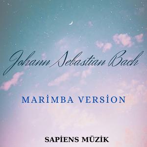 Harmonic Dialogues Marimba