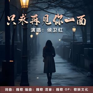 只求再见你一面