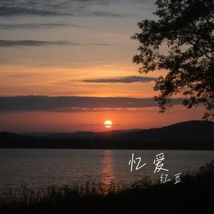 忆爱 (Cover 洋澜一)