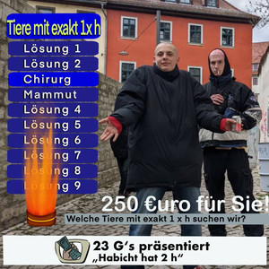 Habicht