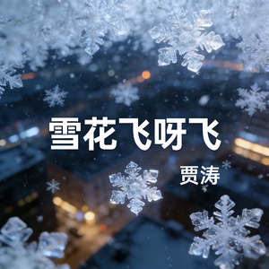 雪花飞呀飞