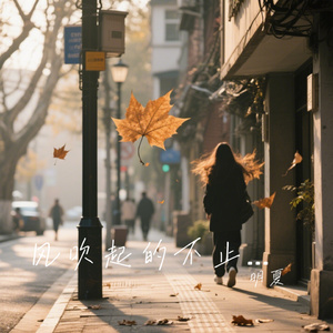 风吹起的不止落叶