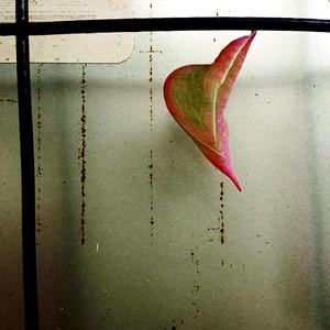 Bread (datewithdeath Remix)