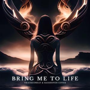 Bring Me To Life