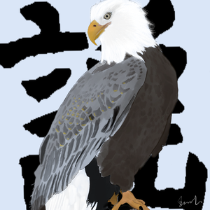 少年郎 Special Editino