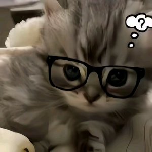 重复生活