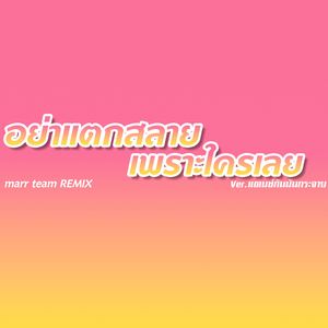 อย่าแตกสลายเพราะใครเลย (Remix)