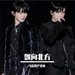 飘向北方(Live)（翻唱：时代少年团马嘉祺，严浩翔）（翻自 马嘉祺严浩翔）