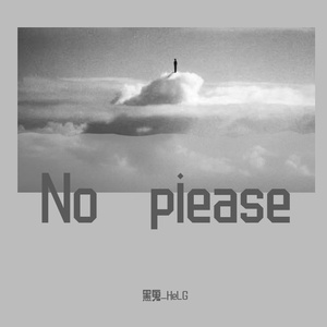 No piease