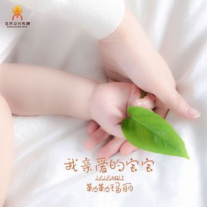 我亲爱的宝宝(Dj翊轩)-勒勒玛丽
