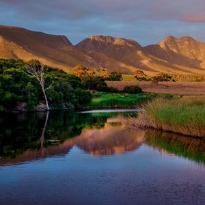 Stanford(Tribute To Stanford)DJDEGO SA & WIAAN 2026