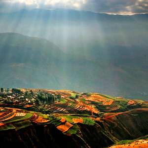 你凭啥看不上我