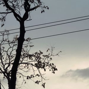 烂情