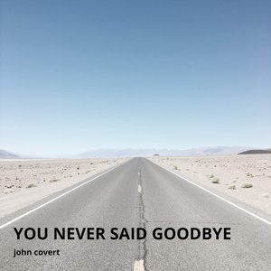 You Never Said Goodbye