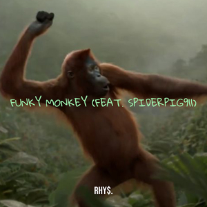 Funky Monkey