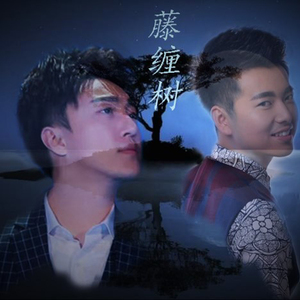 藤缠树（Cover 民歌篇）