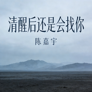 清醒后还是会找你