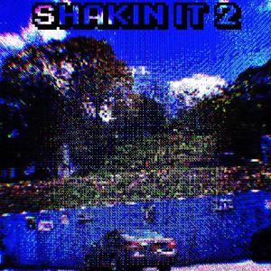Shakin' it 2