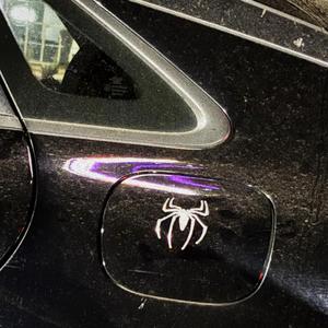 Spiders