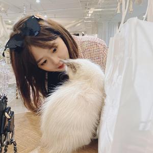 不为谁而作的歌